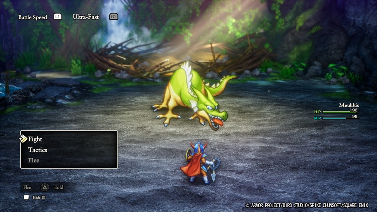 Dragon Quest I Dragon fight